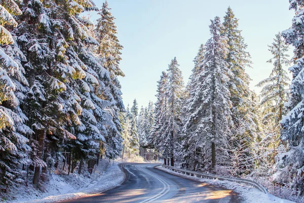 Camino Montaña Invierno Día Soleado Abeto Cubierto Nieve Las Aceras — Foto de Stock