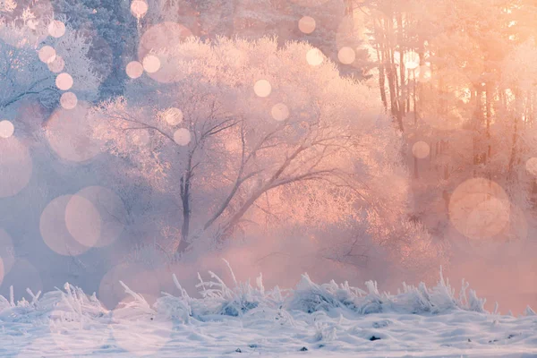 Winter Achtergrond Kerstmis Natuur Baclground Frosty Natuur Landschap Met Kleurrijke — Stockfoto