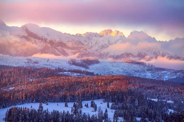 Zimní Hory Krásná Krajina Zasněžené Vrcholky Růžové Ranní Slunce Zimní — Stock fotografie