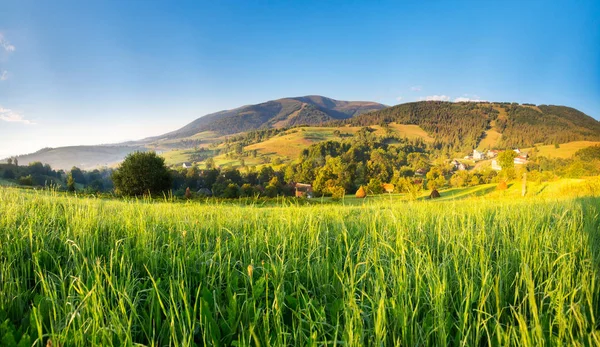 Grüne Frühlingslandschaft Panorama Grüner Wiesen Und Hügel Mit Klarem Blauen — Stockfoto