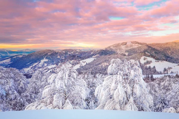 Paisaje Invierno Salida Del Sol Invierno Con Cielo Rojo Rosado — Foto de Stock