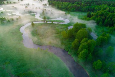 Bahar sisli şafak. Anten arka plan bahar doğa. Şafakta yeşil alan.