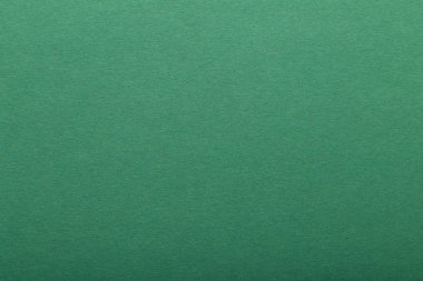 Yeşil kağıt doku veya arka plan. Boş yeşil sayfa.