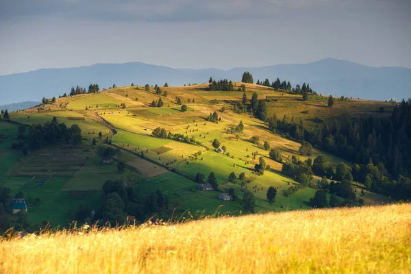 Abendsonne Auf Den Hügeln Der Frühlingsberge Ländliche Landschaft Karpaten Ukraine — Stockfoto