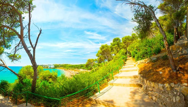 Испания Курорт Салоу Коста Дорада Пейзаж Сосновый Средиземноморский Лес Голубом — стоковое фото