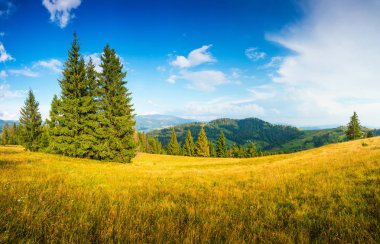 Yaz manzara. Çayır sabah dağ tepelerde. Açık mavi gökyüzü ile doğa manzara.