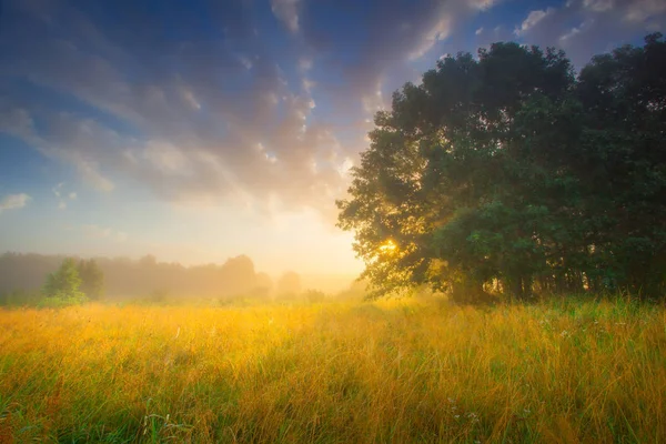 Sommerdämmerung — Stockfoto