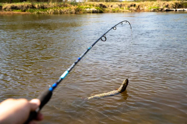 Fiske sport bakgrund — Stockfoto