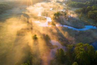 Doğal yaz nackground