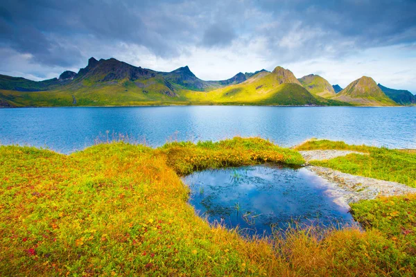 Summer Norway landscape