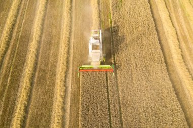 Biçerdöver buğday alanında çalışan birleştirme