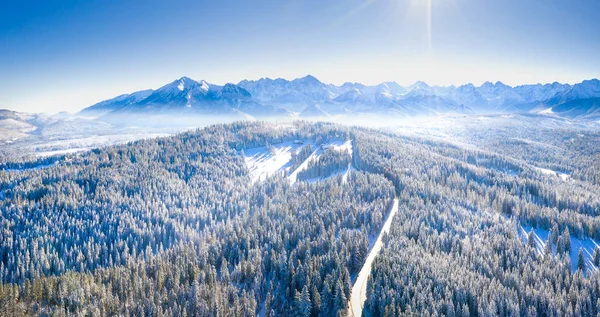 Paisaje invierno mañana — Foto de Stock