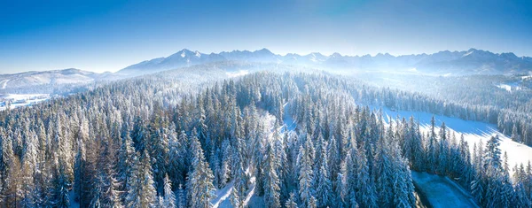 Zimní přírodní Panorama. Malebná zimní krajina. — Stock fotografie