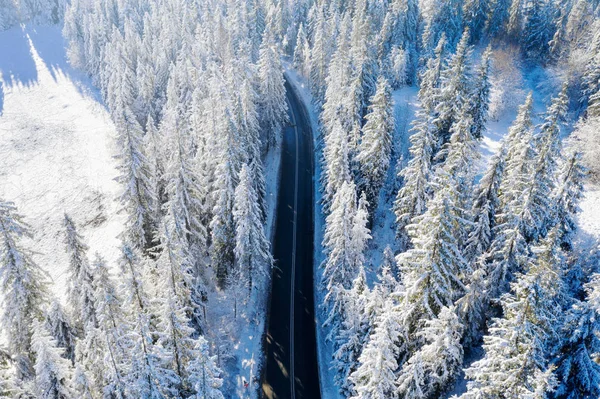 Carretera en bosque de invierno — Foto de Stock