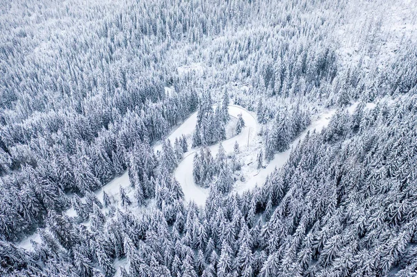 Floresta de inverno em colinas — Fotografia de Stock