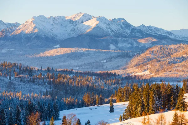 Tatras en Polonia. Paisaje invierno — Foto de Stock