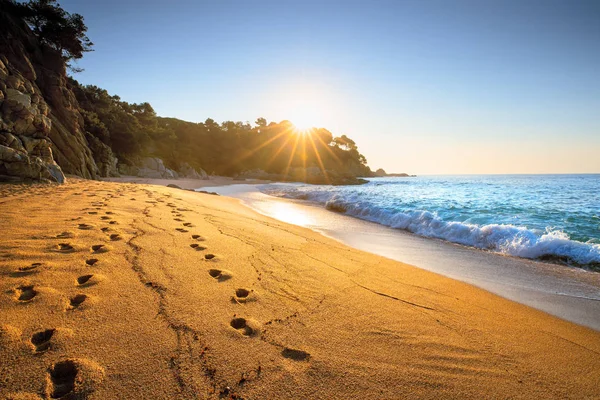 Sand beach at sunrise — Stock Photo, Image