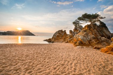 Plajlı tropikal manzara