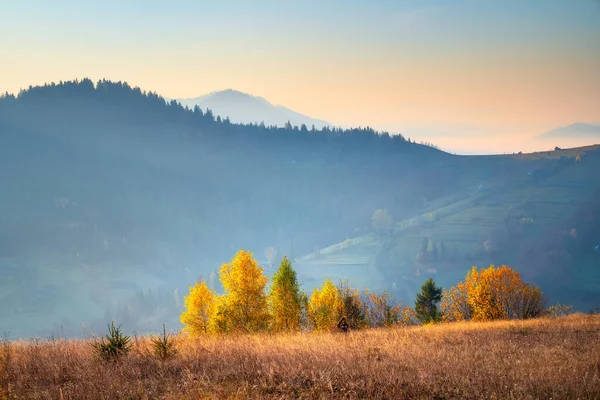 秋の風景 日没の山の丘の上に黄色の木々のグループ 風景山の背景 — ストック写真