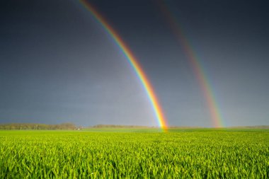 Parlak gökkuşağı ile canlı yaz manzarası. Yaz arkaplanı.
