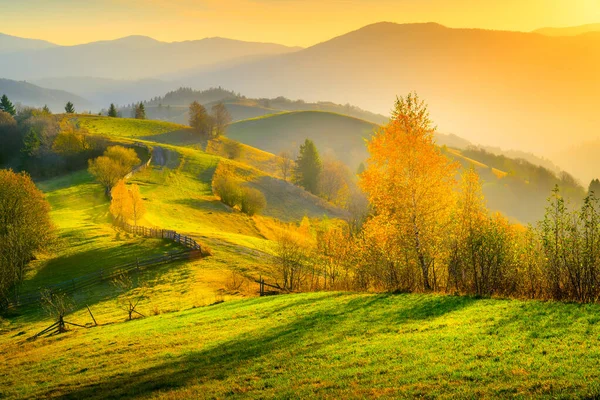 Herfst Achtergrond Met Alpenweide Scenic Landschap Met Bergen Avond Achtergrondinformatie — Stockfoto