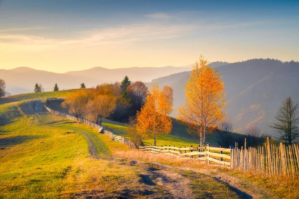 Pintoresco Paisaje Rural Con Sendero Largo Árboles Con Árboles Amarillos —  Fotos de Stock