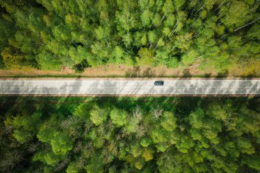 Yeşil orman hava aracı manzaralı yeni bir yol. Ormanda otoyolda giden bir araba. Seyahat arkaplanı.