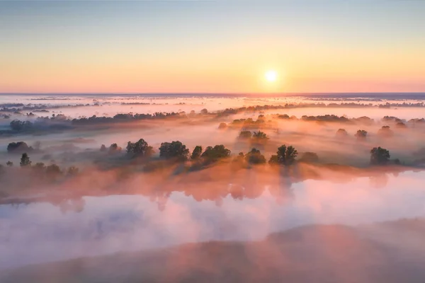 Sommerliche Morgensonne Sonne Klaren Himmel Erhellt Nebel Und Wiese Mit — Stockfoto