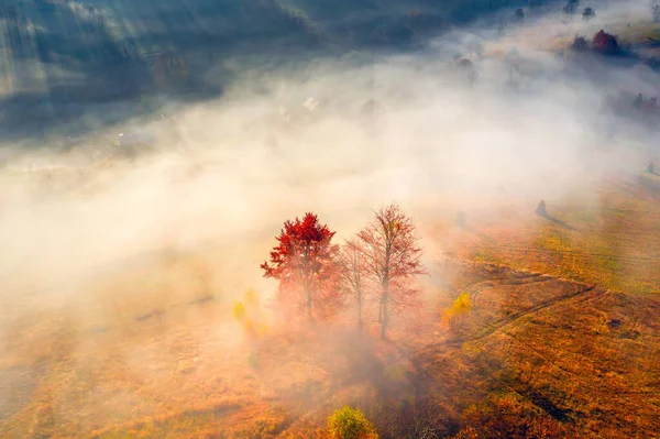 Mañana Brumosa Otoño Las Montañas Paisaje Otoñal Con Árboles Rojos — Foto de Stock