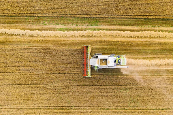 Top View Agricultural Vehicle Work Harvest Time Field Wheat Field — Stock Photo, Image