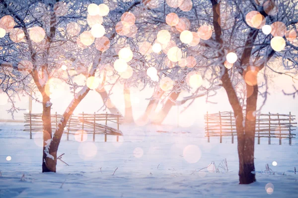 Winterwald Weihnachten Urlaub Hintergrund Mit Farbe Schneeflocken — Stockfoto