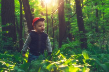 Gizemli ormanın vahşi doğasını keşfetmek küçük bebek.