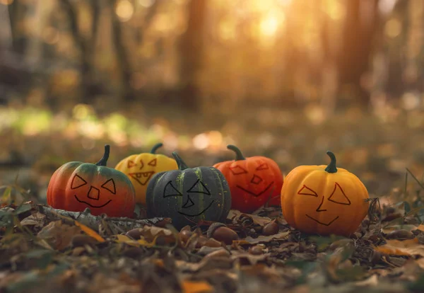 Citrouilles Couchées Sur Sol Dans Forêt Parmi Les Feuilles Automne — Photo