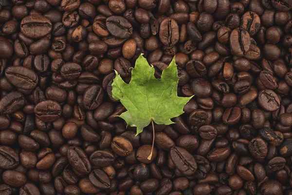 コーヒー豆の焙煎 背景には クローズ アップ ビュー — ストック写真