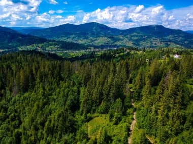 Karpat Dağları 'ndaki dağ patikaları