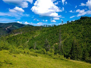 Ukrayna dağlarında zirve