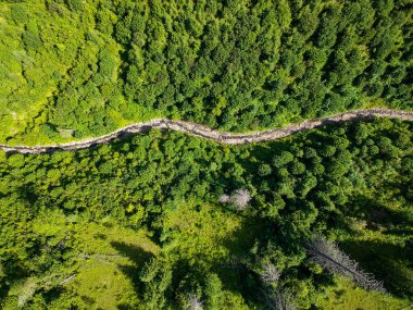 Ukrayna dağlarında dağ yolu