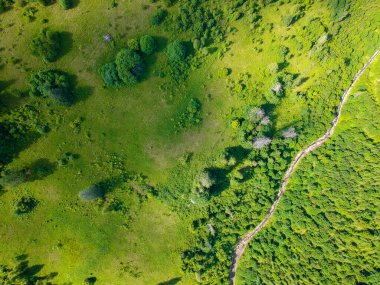 Ukrayna dağlarındaki çayırlar