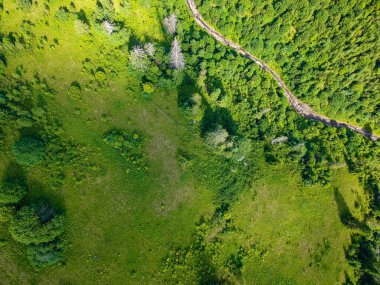 DCIM / 103MEDIA / DJI _ 0753.JPG