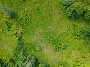 yeşil çayır drone görünümü