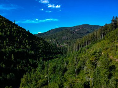 Karpatlar 'ın yüksek manzarası