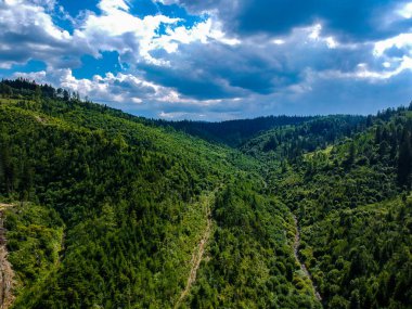 Ukrayna dağlarında yürüyüş
