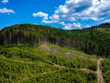 Bir dağın tepesinde yol