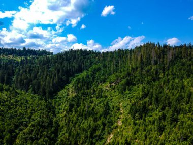 Mavi gökyüzü ve yeşil dağlar