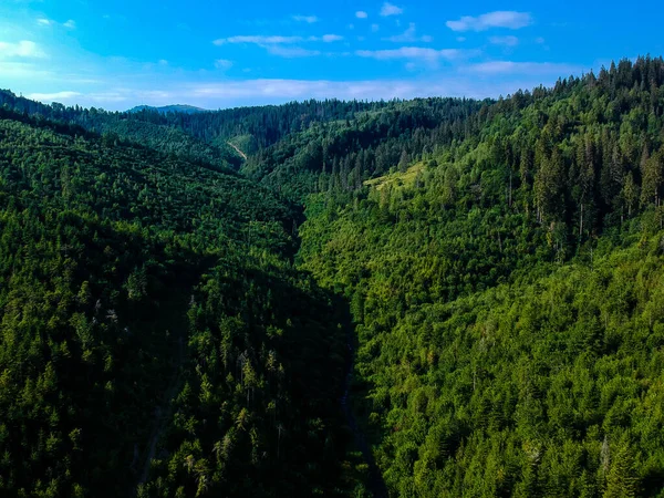 Horská Cesta Zelených Údolích — Stock fotografie