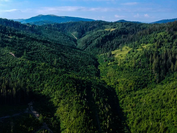 Bergzicht Karpaten — Stockfoto