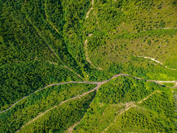 Valle Verde Cárpatos — Foto de Stock