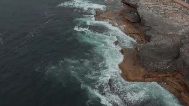 Stranden Och Rock Texturer Från Runt Sydney Australia — Stockvideo