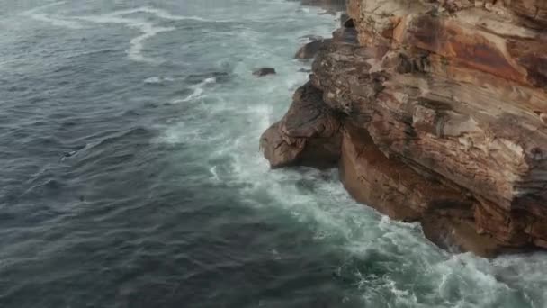 Texturas Praia Rocha Redor Sydney Austrália — Vídeo de Stock