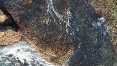 Sydney Australia çevresinde üzerinden Beach ve rock dokular